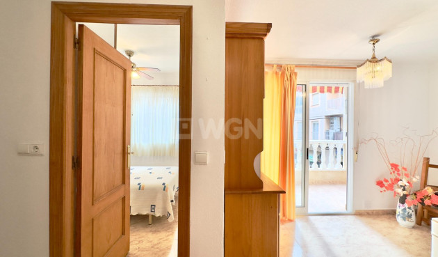 Odsprzedaż - Mieszkanie w bloku - Torrevieja - Centro