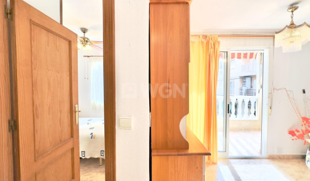 Odsprzedaż - Mieszkanie w bloku - Torrevieja - Centro