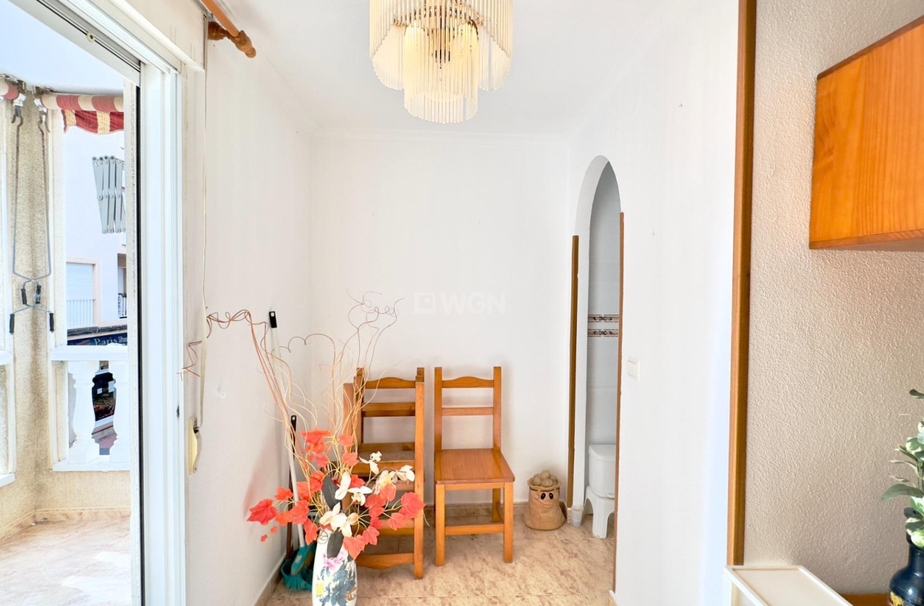 Odsprzedaż - Mieszkanie w bloku - Torrevieja - Centro