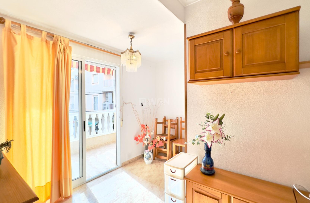 Odsprzedaż - Mieszkanie w bloku - Torrevieja - Centro