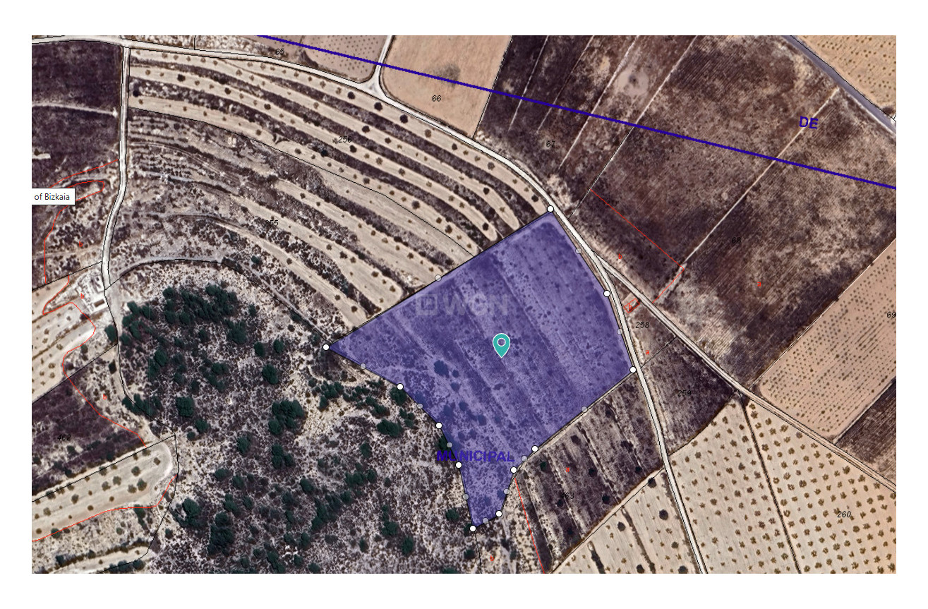 Resale - Plot / Land - Abanilla - Inland