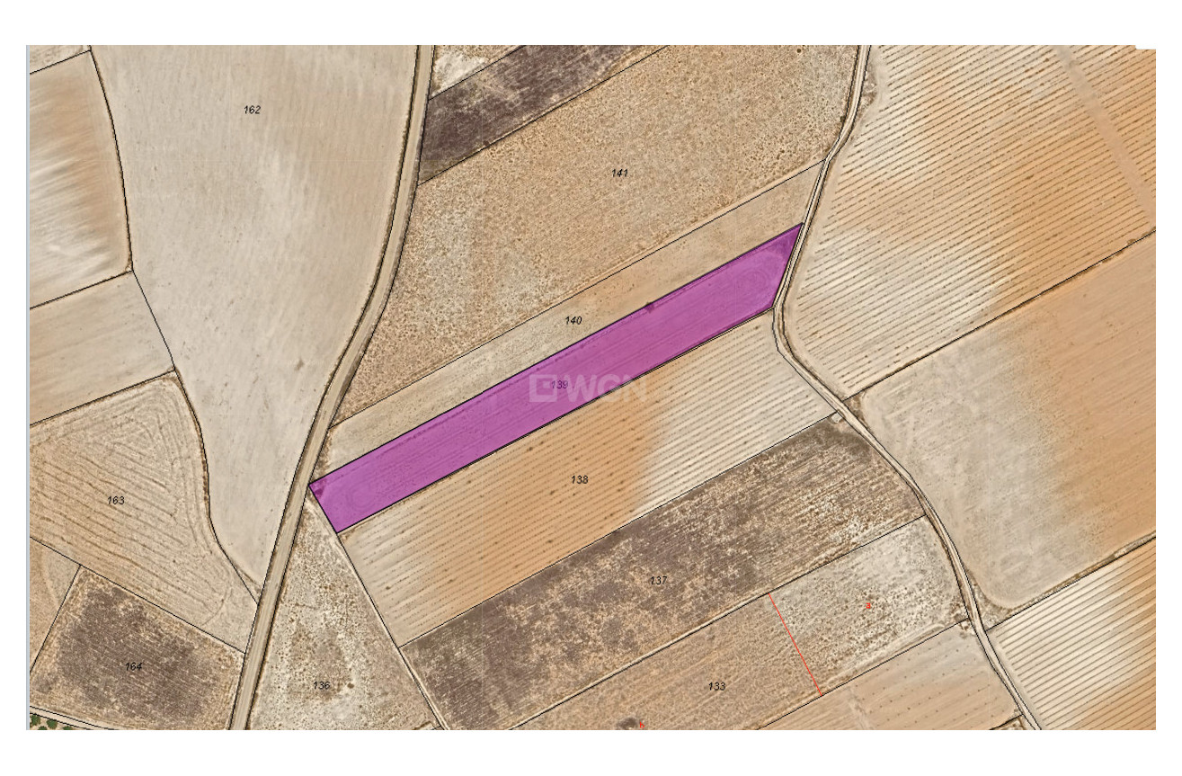 Resale - Plot / Land - Yecla - Inland