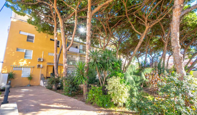 Reventa - Apartamento / piso - Lo Pagan - Costa Calida