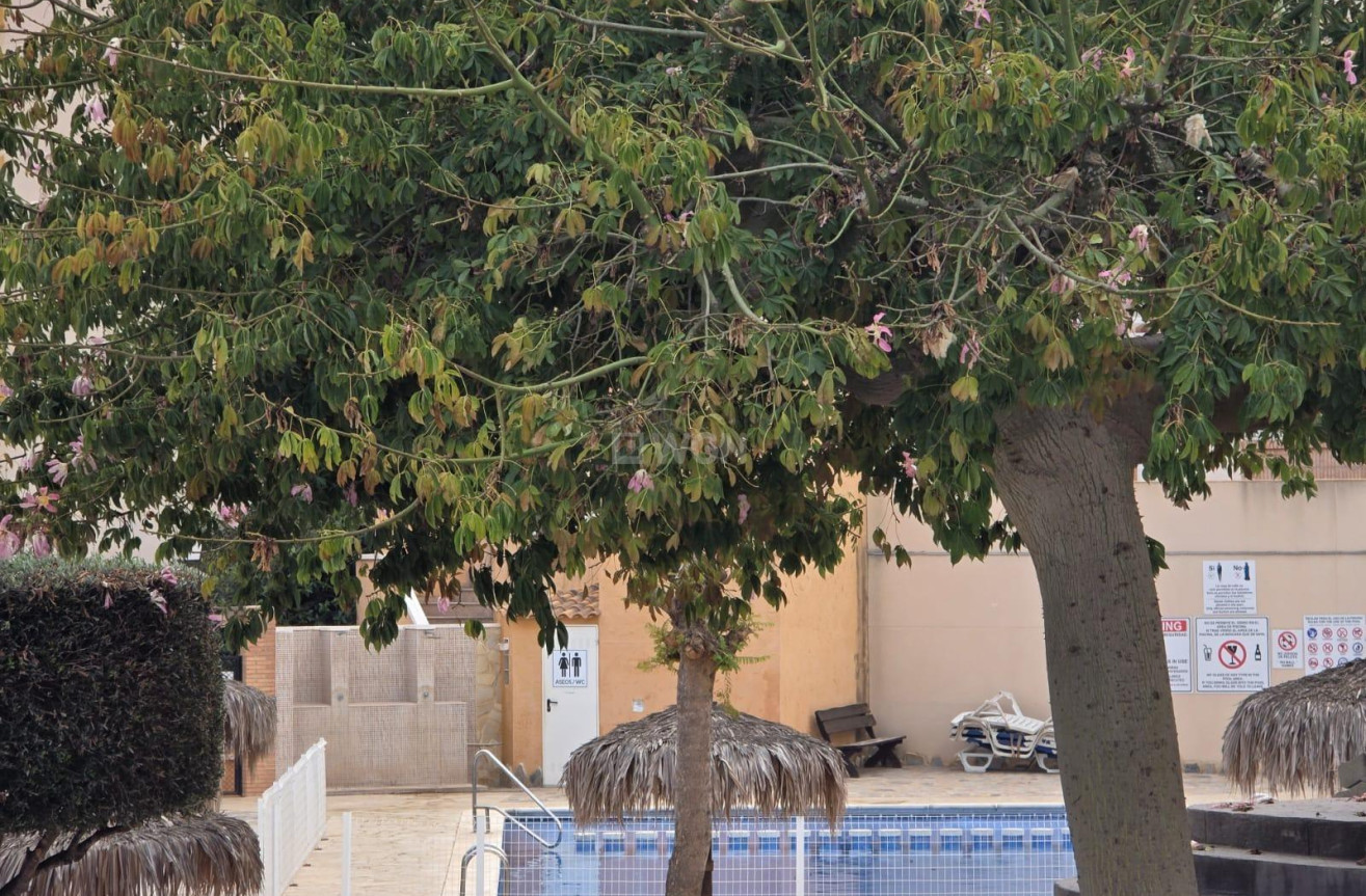 Resale - Apartment / flat - Orihuela Costa - Lomas De Cabo Roig-los Dolses