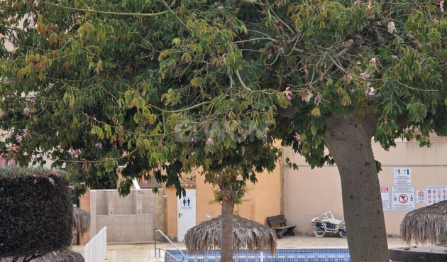 Resale - Apartment / flat - Orihuela Costa - Lomas De Cabo Roig-los Dolses