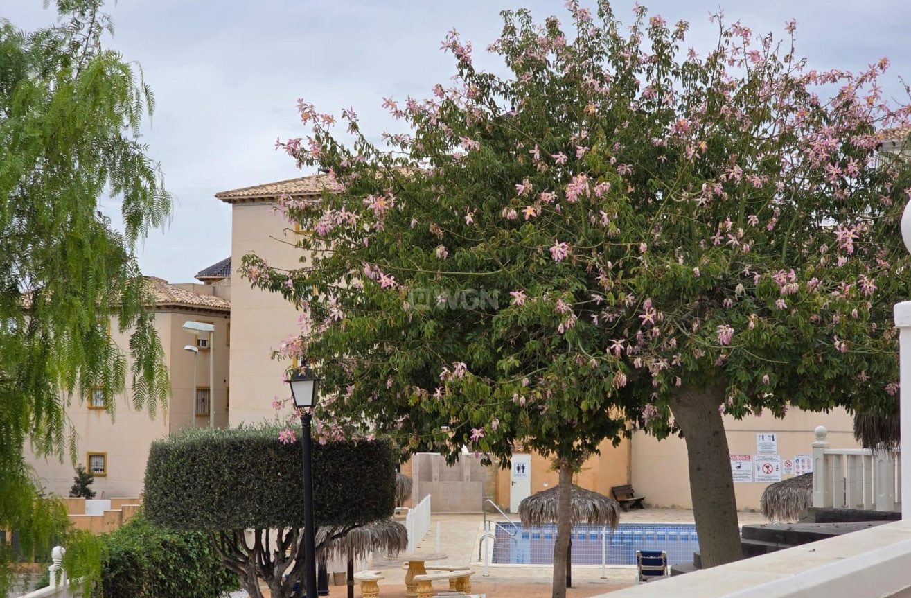 Resale - Apartment / flat - Orihuela Costa - Lomas De Cabo Roig-los Dolses