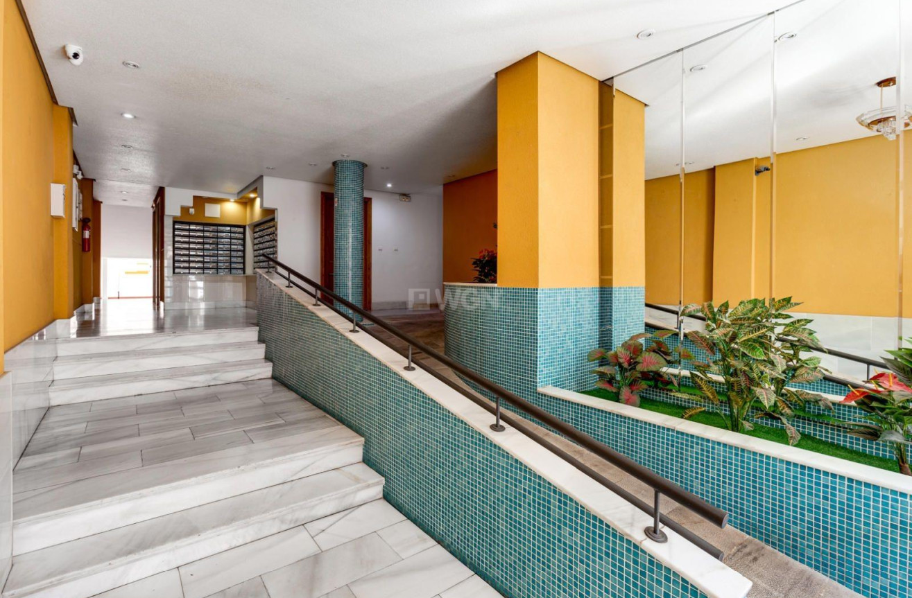 Reventa - Apartamento / piso - Torrevieja - Centro