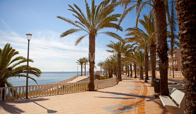 Resale - Apartment / flat - Pilar de la Horadada - Torre De La Horadada