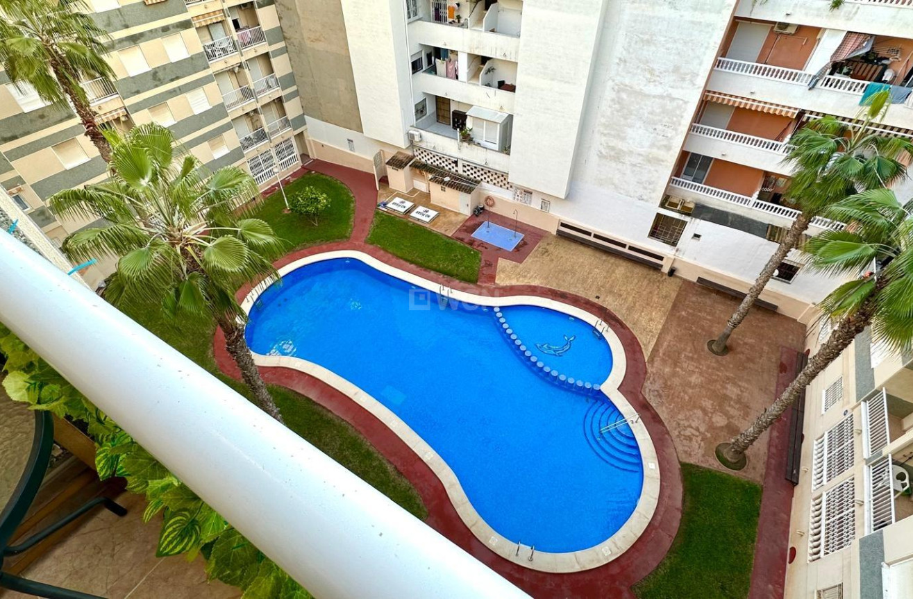 Reventa - Ático - Torrevieja - Centro