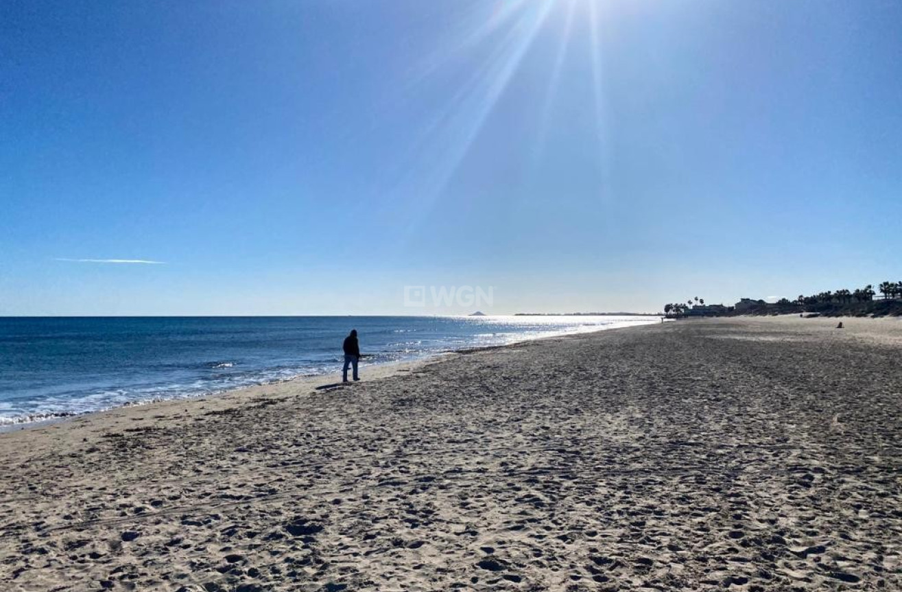 Reventa - Apartamento / piso - Pilar de la Horadada - Costa Blanca