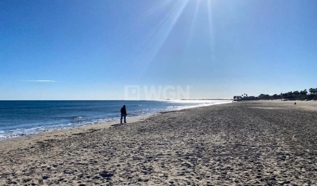 Reventa - Apartamento / piso - Pilar de la Horadada - Costa Blanca