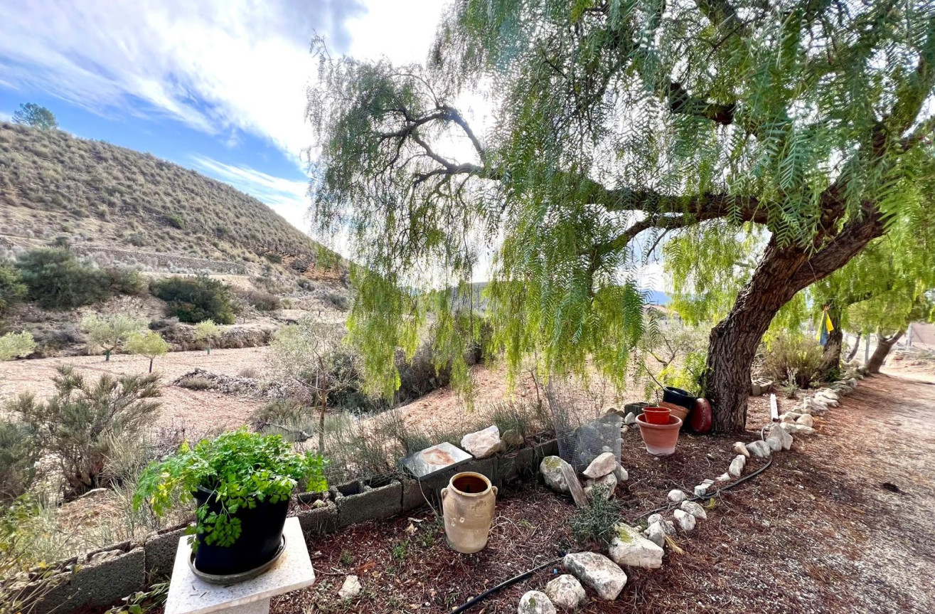 Reventa - Villa - Monóvar/Monóver - Inland