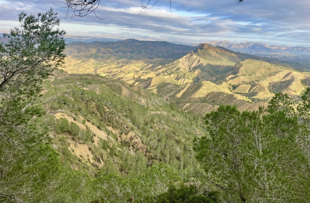 Resale - Villa - Gea Y Truyols - Sierra de Columbares Natural Park