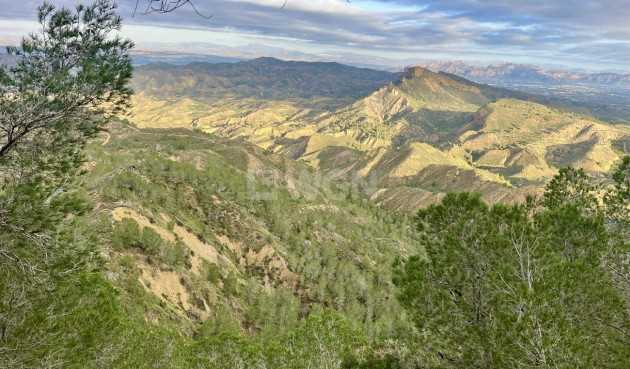 Resale - Villa - Gea Y Truyols - Sierra de Columbares Natural Park