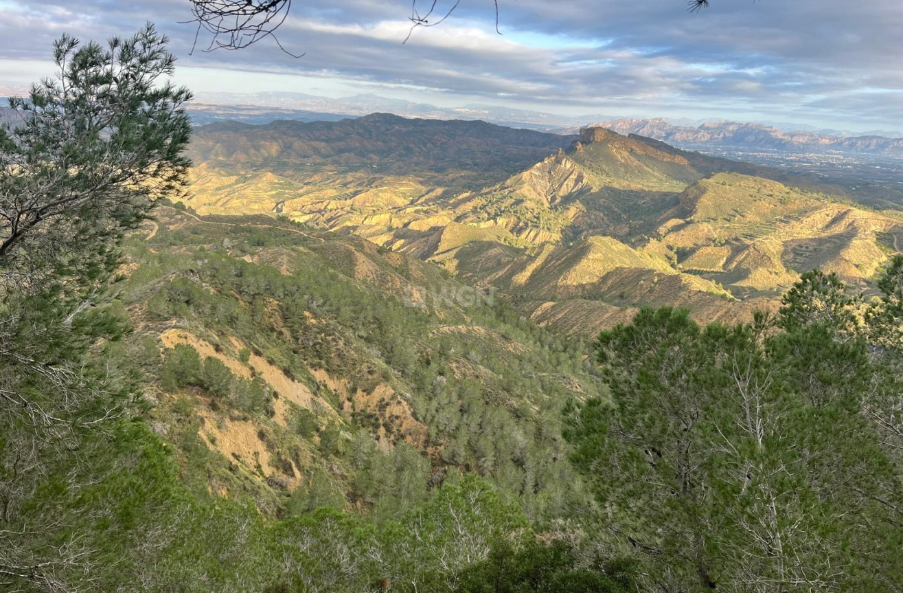 Resale - Villa - Murcia - Inland