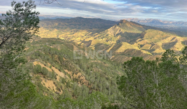 Resale - Villa - Murcia - Inland