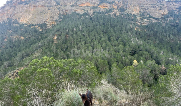 Resale - Villa - Murcia - Inland