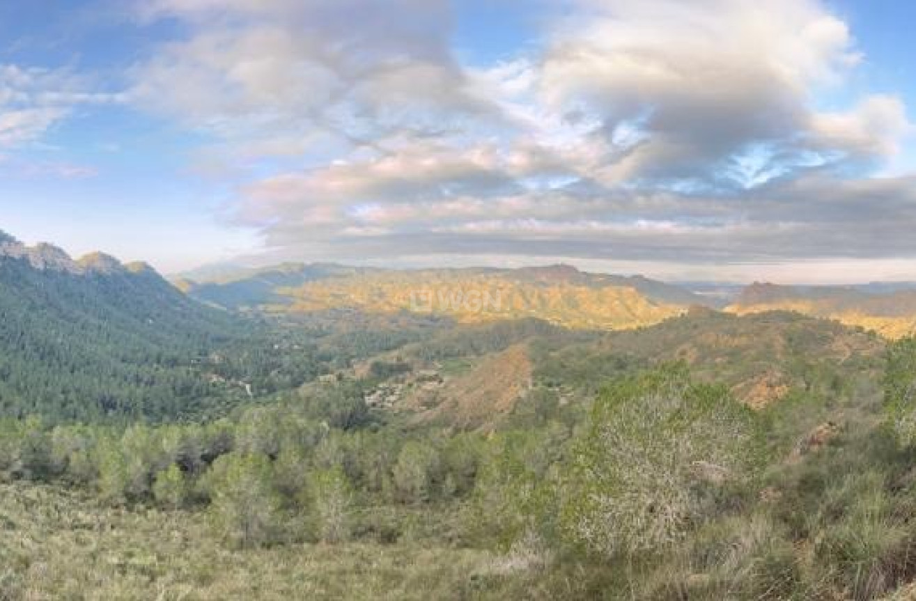 Resale - Villa - Murcia - Inland