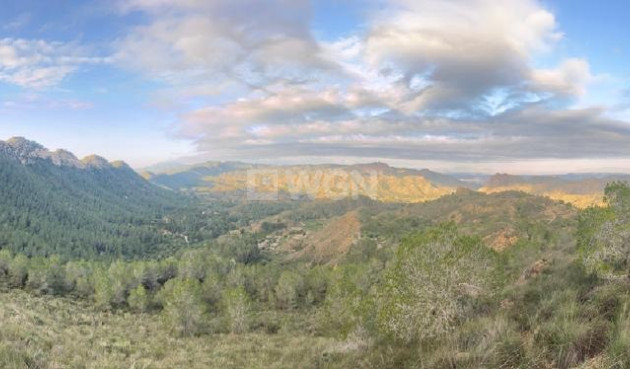 Resale - Villa - Murcia - Inland