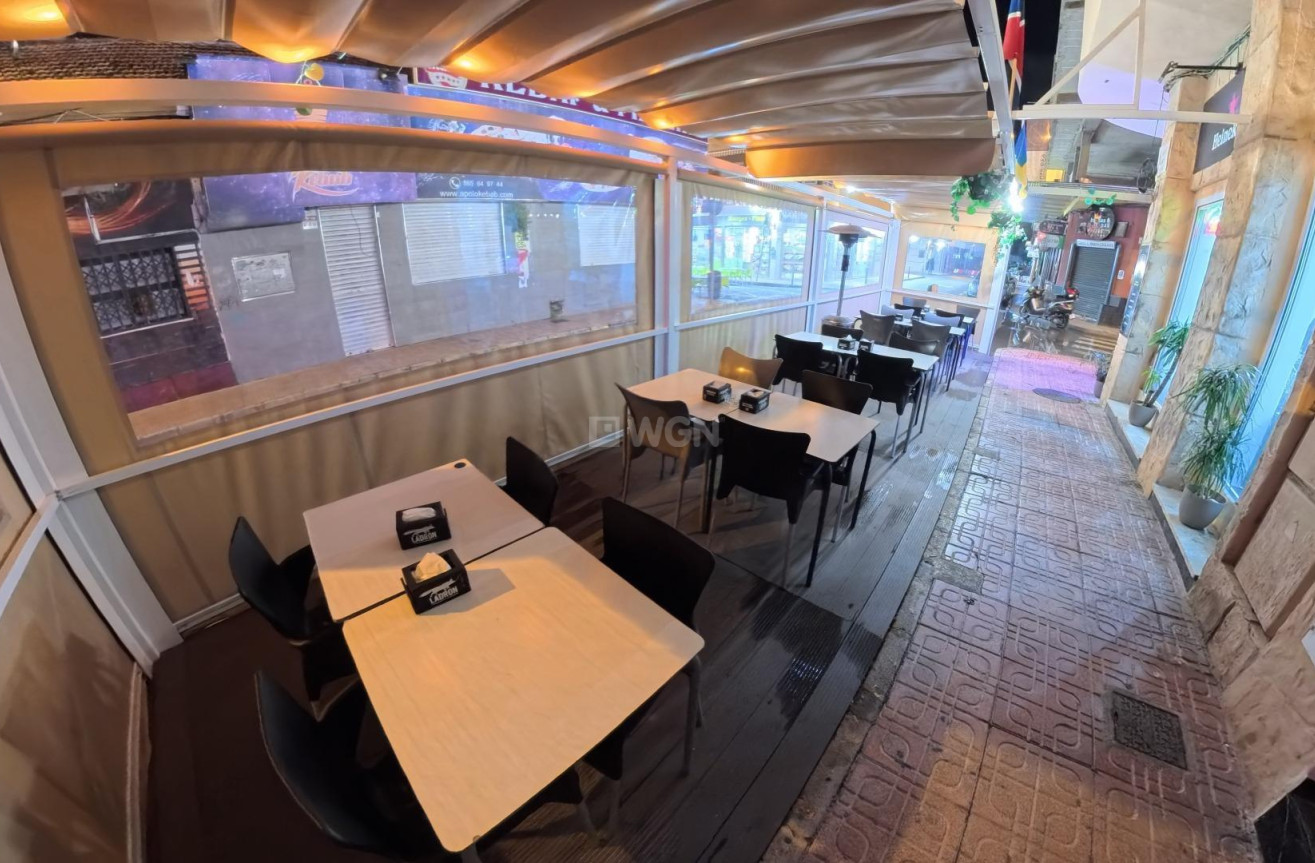 Wiederverkauf - Other - Torrevieja - Paseo Maritimo