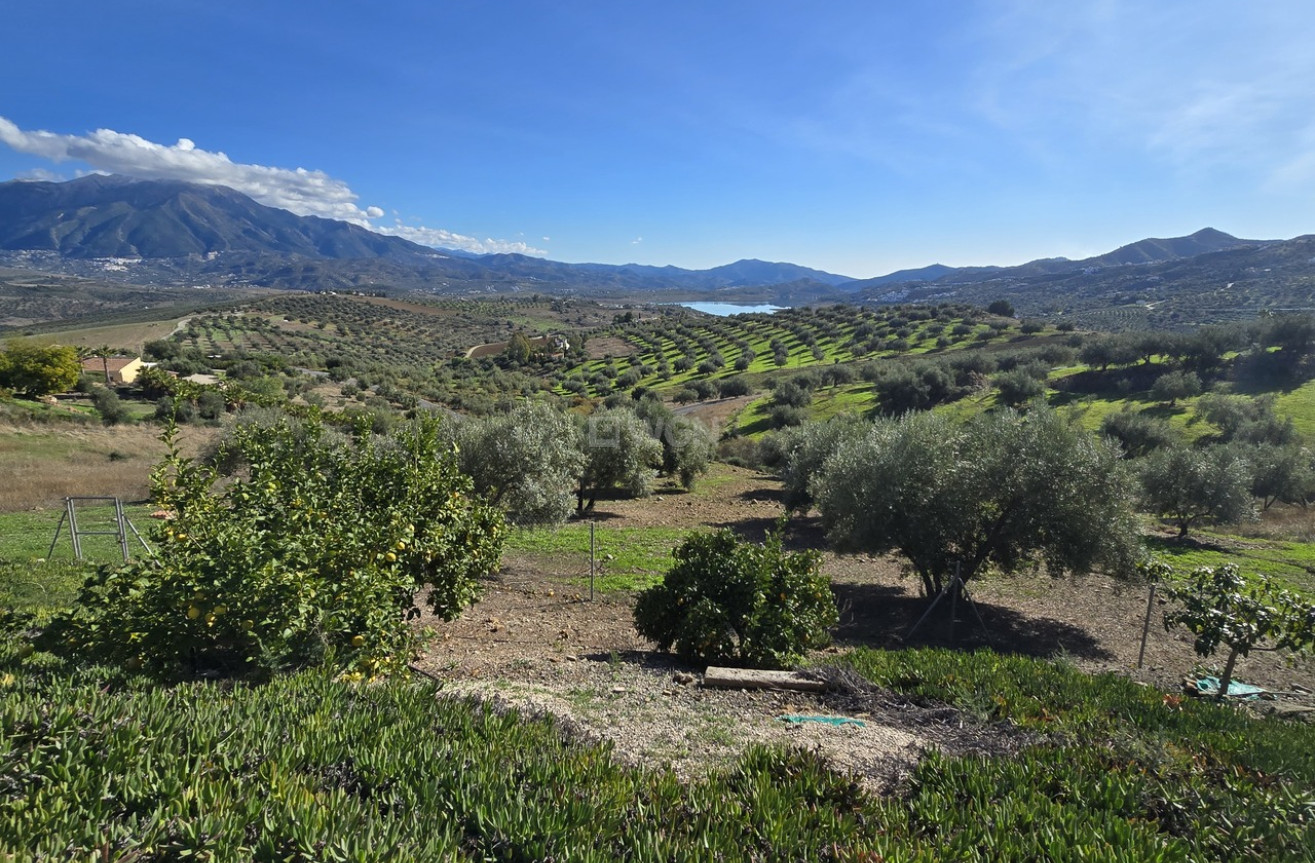Wiederverkauf - Villa - La Vinuela - Inland