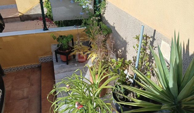 Reventa - Apartamento / piso - Los Montesinos - Costa Blanca