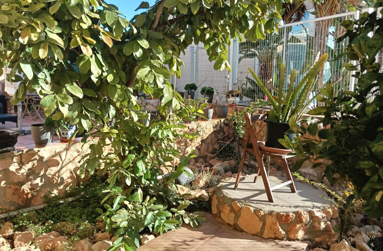 Reventa - Apartamento / piso - Los Montesinos - Costa Blanca