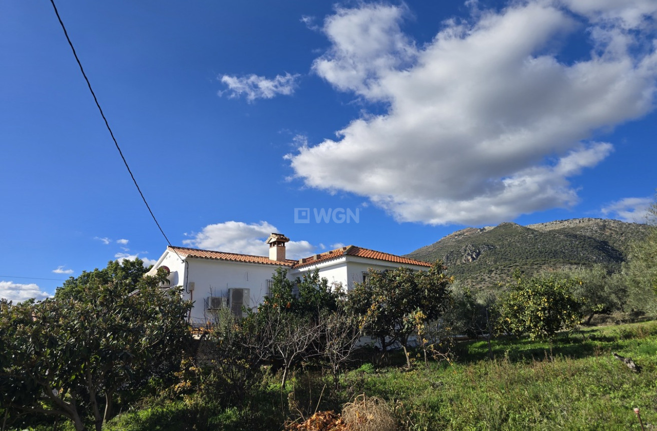 Resale - Villa - Periana - Inland