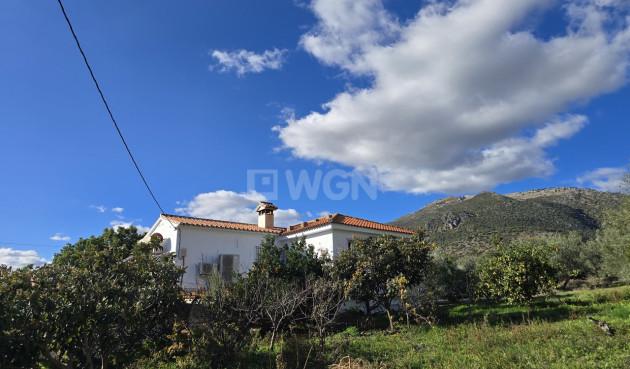 Resale - Villa - Periana - Inland