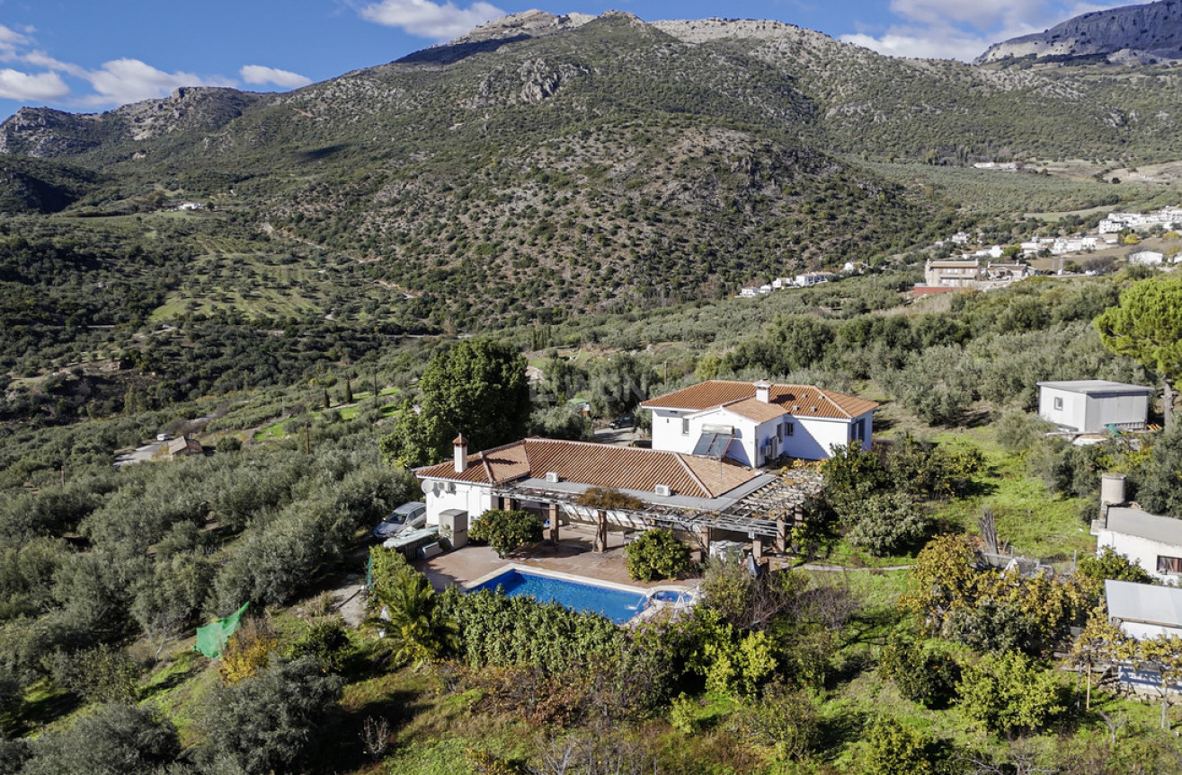 Resale - Villa - Periana - Inland