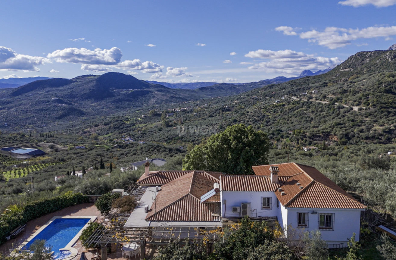 Resale - Villa - Periana - Inland