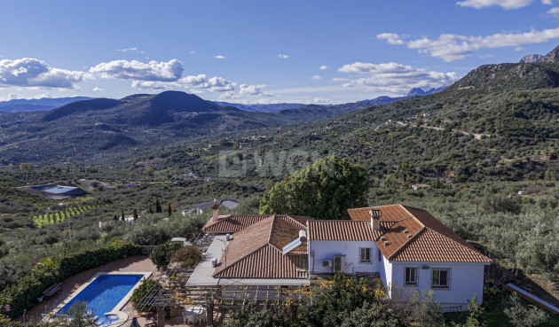 Odsprzedaż - Villa - Periana - Inland