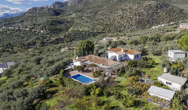Resale - Villa - Periana - Inland
