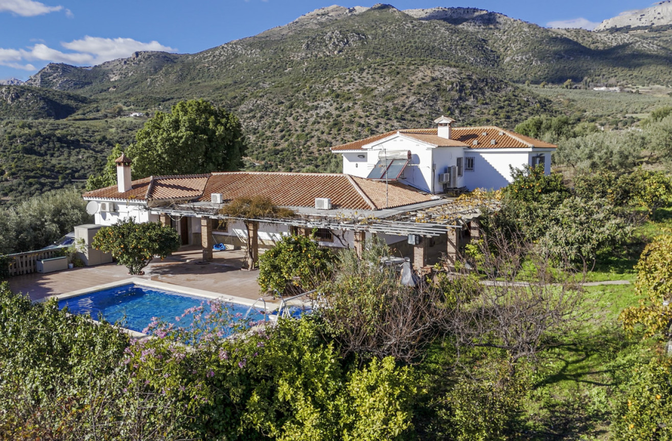 Resale - Villa - Periana - Inland