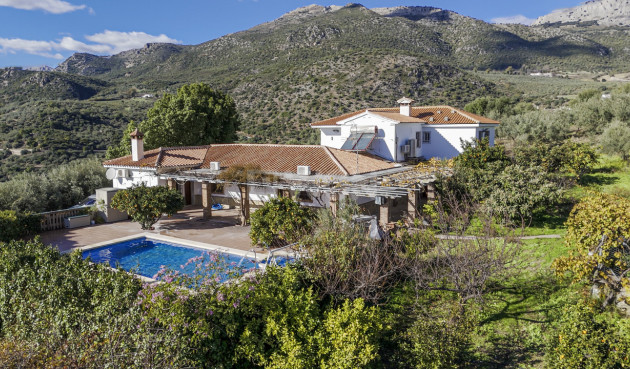 Resale - Villa - Periana - Inland