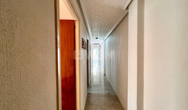 Reventa - Apartamento / piso - Torrevieja - Paseo Maritimo