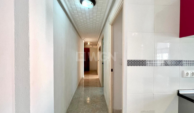 Reventa - Apartamento / piso - Torrevieja - Paseo Maritimo