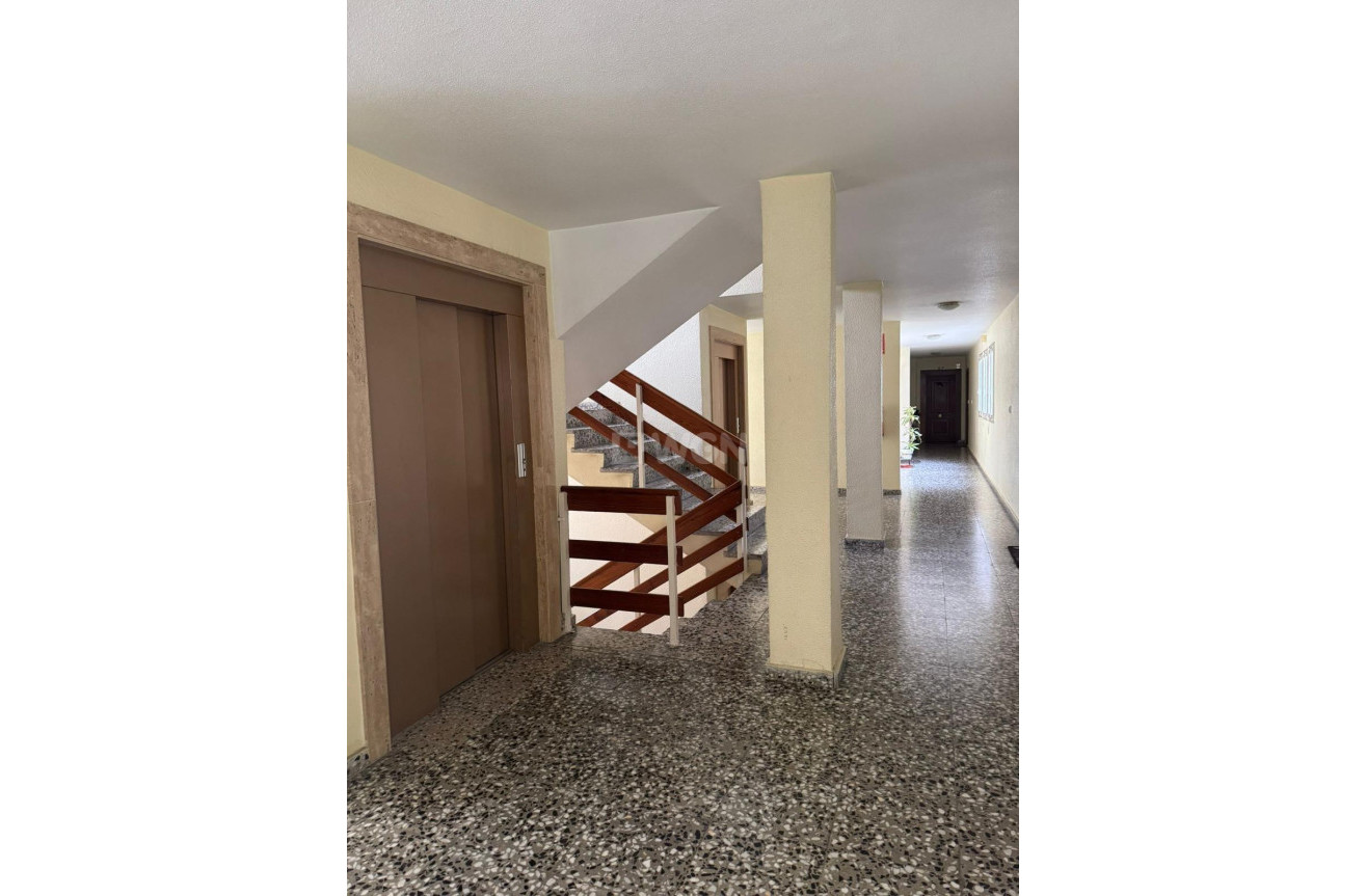 Reventa - Ático - Orihuela - Orihuela Ciudad