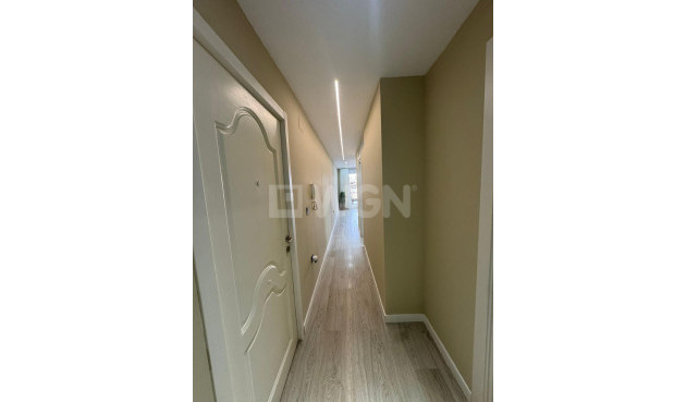 Reventa - Ático - Orihuela - Orihuela Ciudad