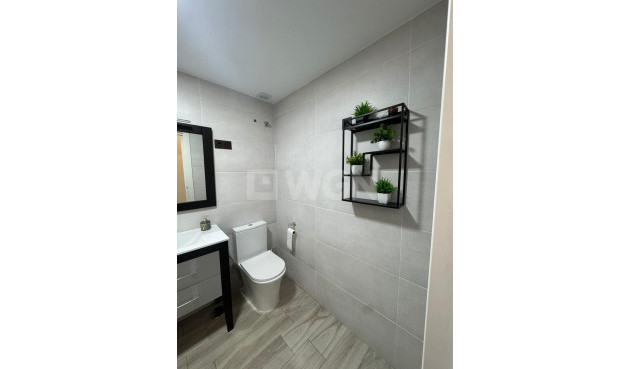 Reventa - Ático - Orihuela - Orihuela Ciudad