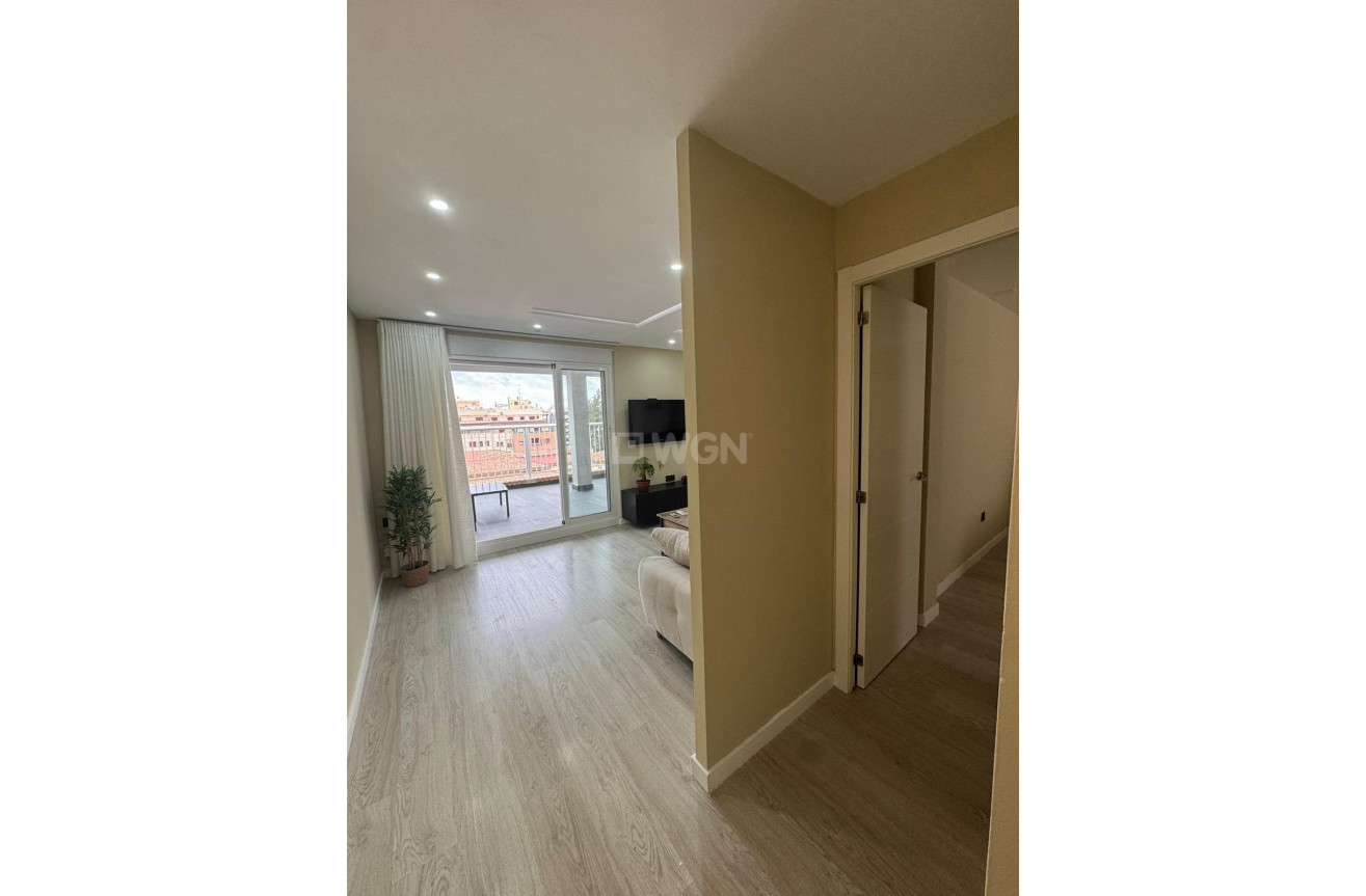 Reventa - Ático - Orihuela - Orihuela Ciudad