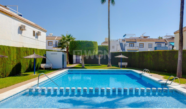 Wiederverkauf - Bungalow - Torrevieja - La Siesta - El Salado - Torreta