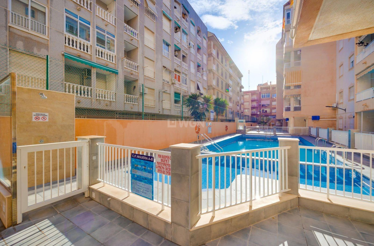 Reventa - Apartamento / piso - Torrevieja - Acequion