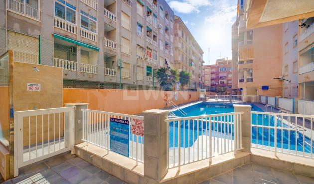 Reventa - Apartamento / piso - Torrevieja - Acequion
