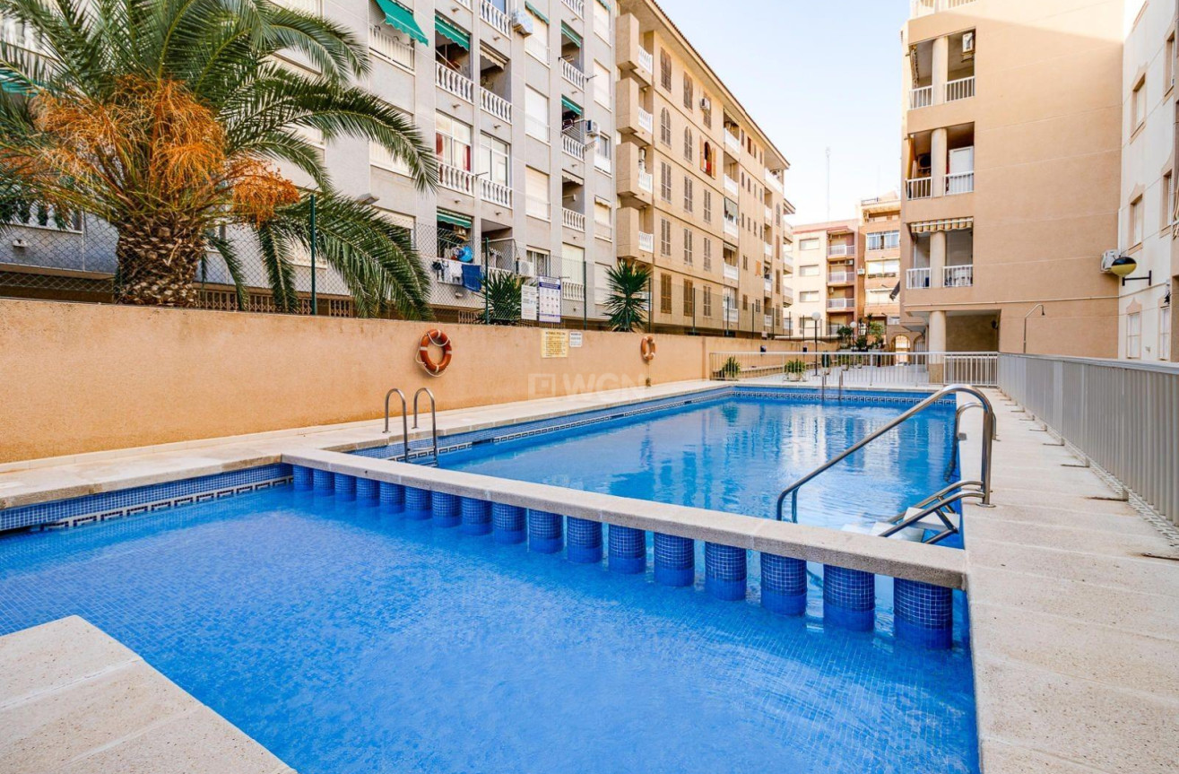 Reventa - Apartamento / piso - Torrevieja - Acequion