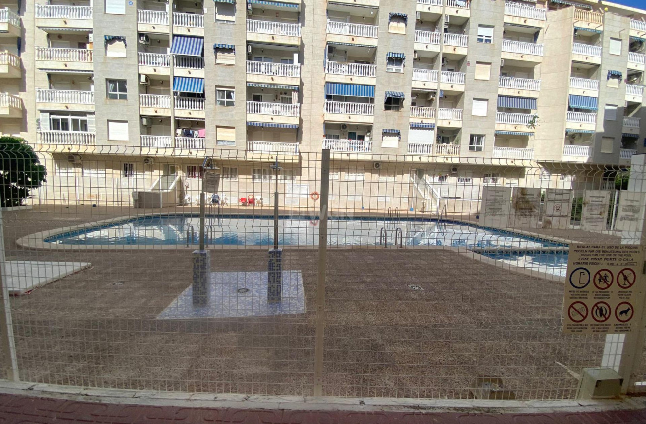 Reventa - Apartamento / piso - Torrevieja - Estacion De Autobuses