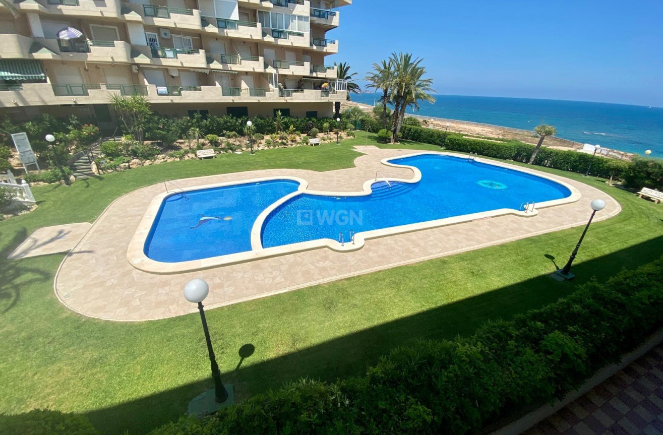 Reventa - Apartamento / piso - Pilar de la Horadada - Mil Palmeras