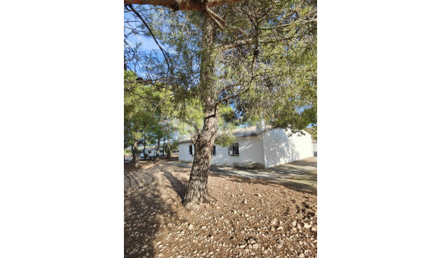 Wiederverkauf - Villa - Yecla - Inland