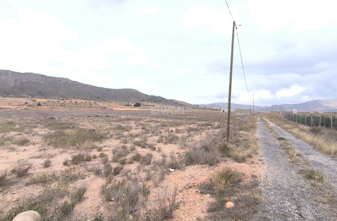 Resale - Plot / Land - Canada De La Lena - Inland