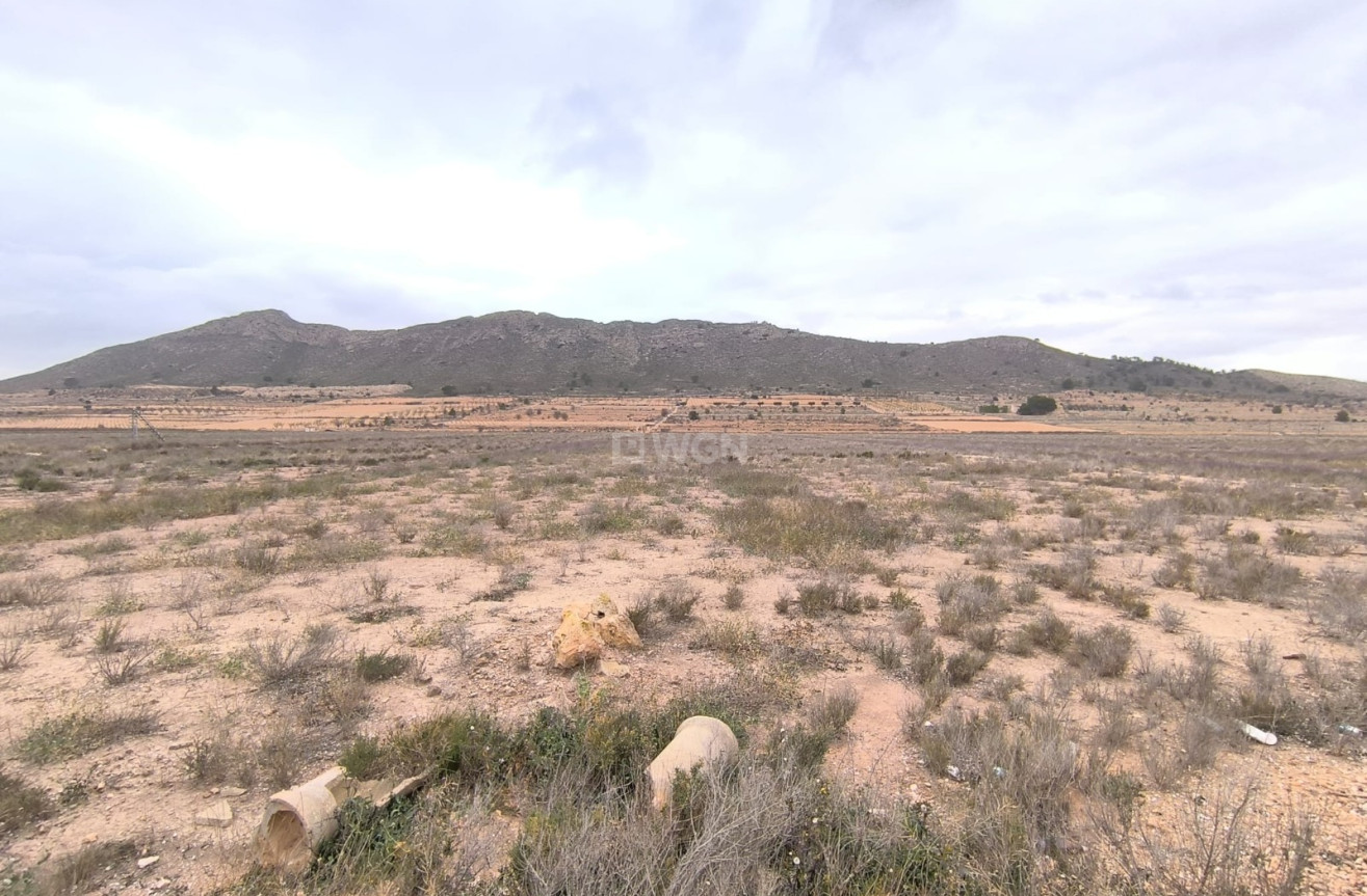 Resale - Plot / Land - Canada De La Lena - Inland